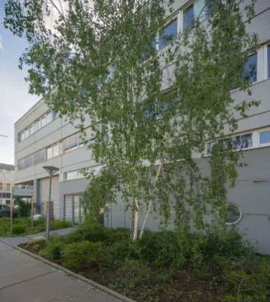 Gewerbeimmobilie mieten in Wien – 206 m², € 9.602 – Bild 16 von 25
