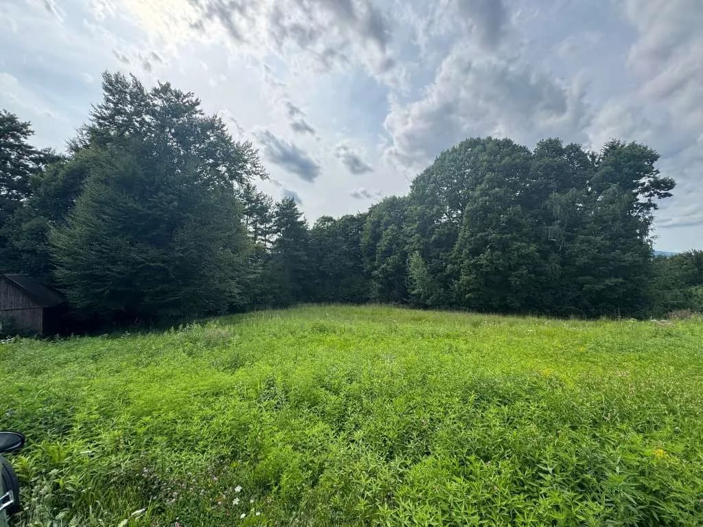 Grundstück kaufen in Hartberg-Fürstenfeld – 8 333 m², € 149.000 – Bild 4 von 14