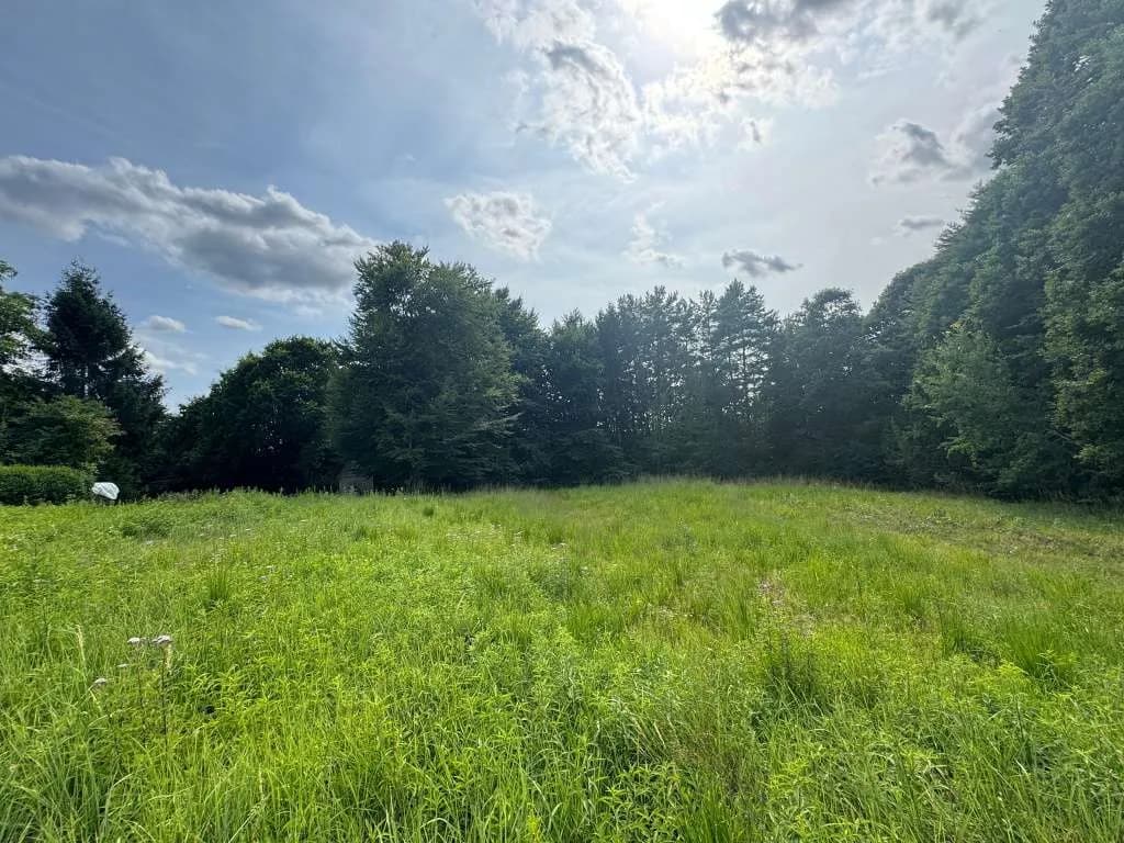 Grundstück kaufen in Hartberg-Fürstenfeld – 8 333 m², € 149.000 – Bild 5 von 14