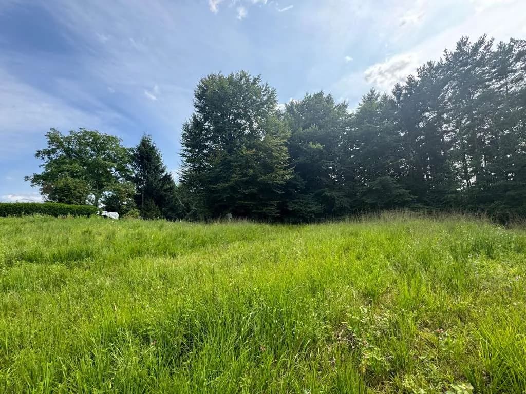 Grundstück kaufen in Hartberg-Fürstenfeld – 8 333 m², € 149.000 – Bild 6 von 14