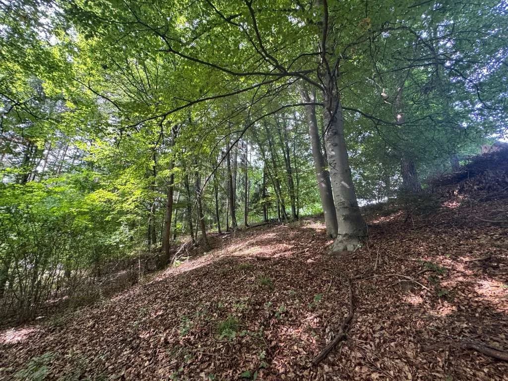 Grundstück kaufen in Hartberg-Fürstenfeld – 8 333 m², € 149.000 – Bild 8 von 14