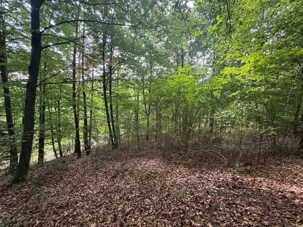 Grundstück kaufen in Hartberg-Fürstenfeld – 8 333 m², € 149.000 – Bild 9 von 14