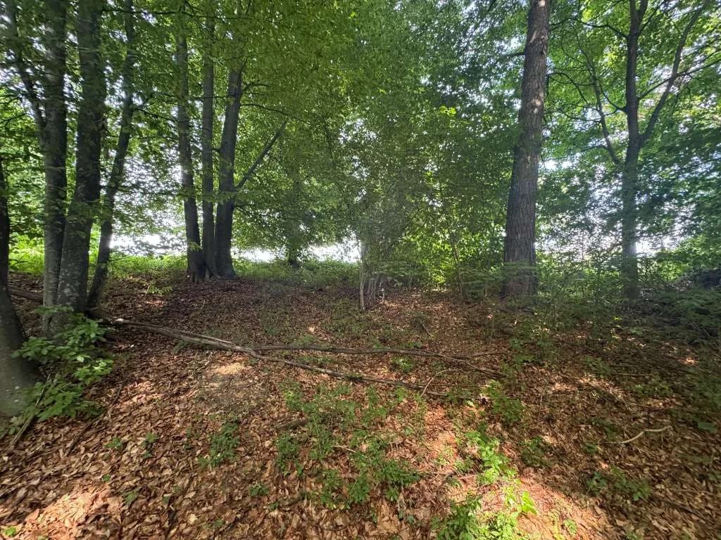 Grundstück kaufen in Hartberg-Fürstenfeld – 8 333 m², € 149.000 – Bild 10 von 14