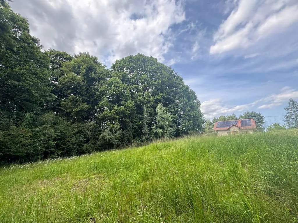 Grundstück kaufen in Hartberg-Fürstenfeld – 8 333 m², € 149.000 – Bild 11 von 14