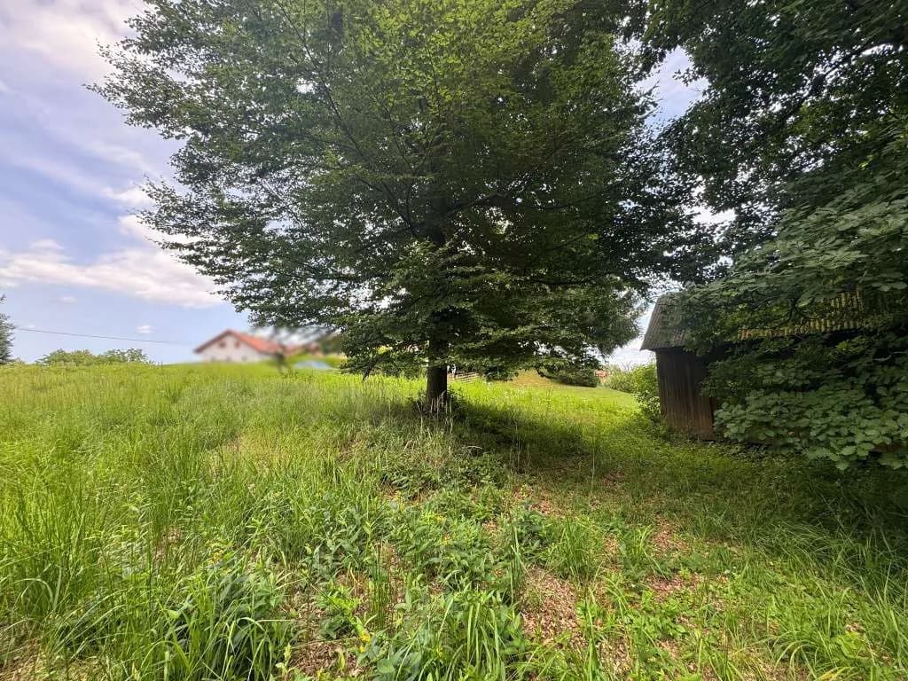 Grundstück kaufen in Hartberg-Fürstenfeld – 8 333 m², € 149.000 – Bild 12 von 14