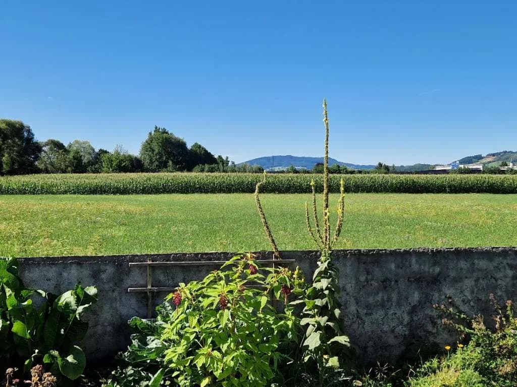 Haus kaufen in Salzburg Stadt – 90 m², € 595.000 – Bild 10 von 11