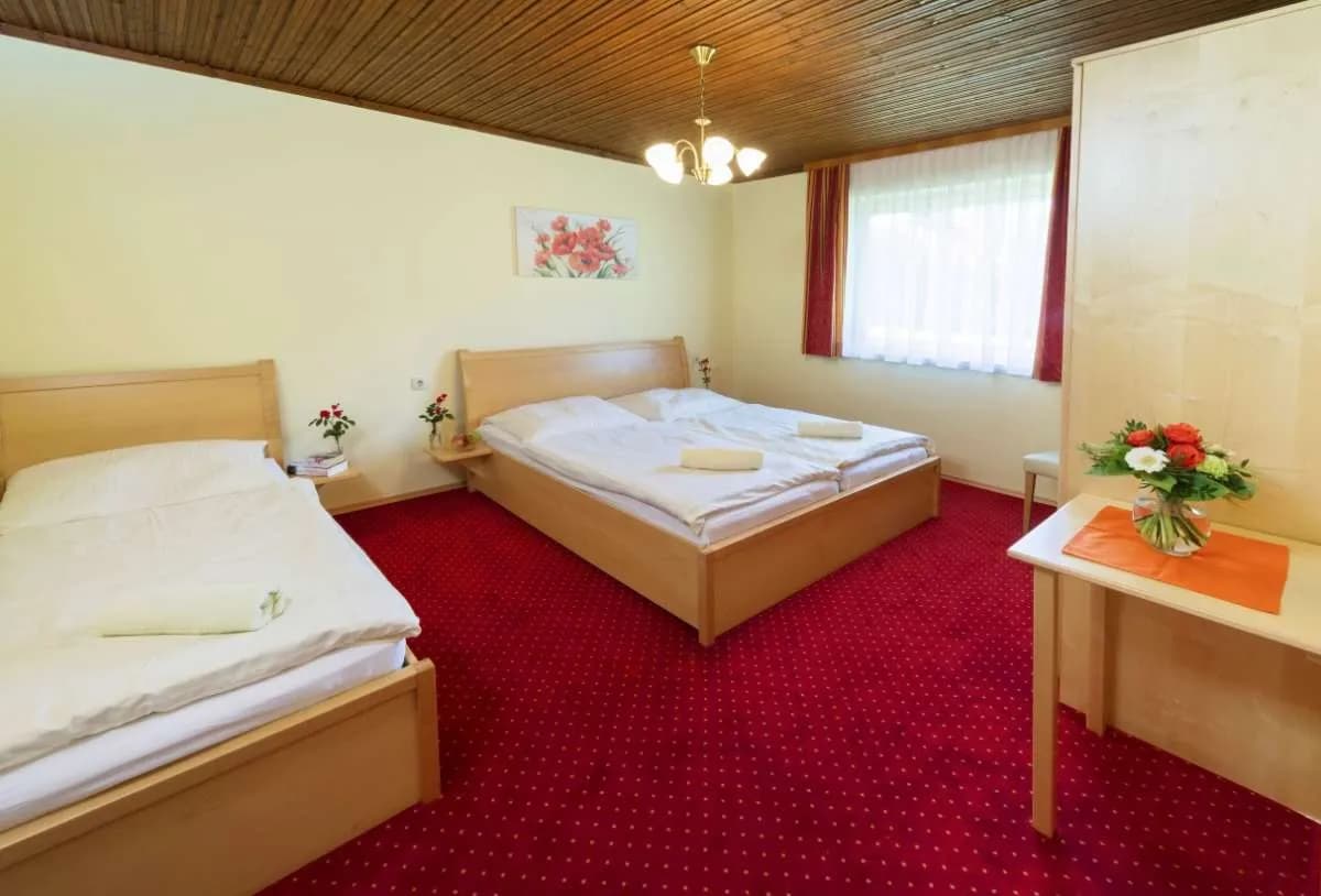 12-Zimmer-Haus kaufen in Völkermarkt – 256 m², € 699.000 – Bild 3 von 6