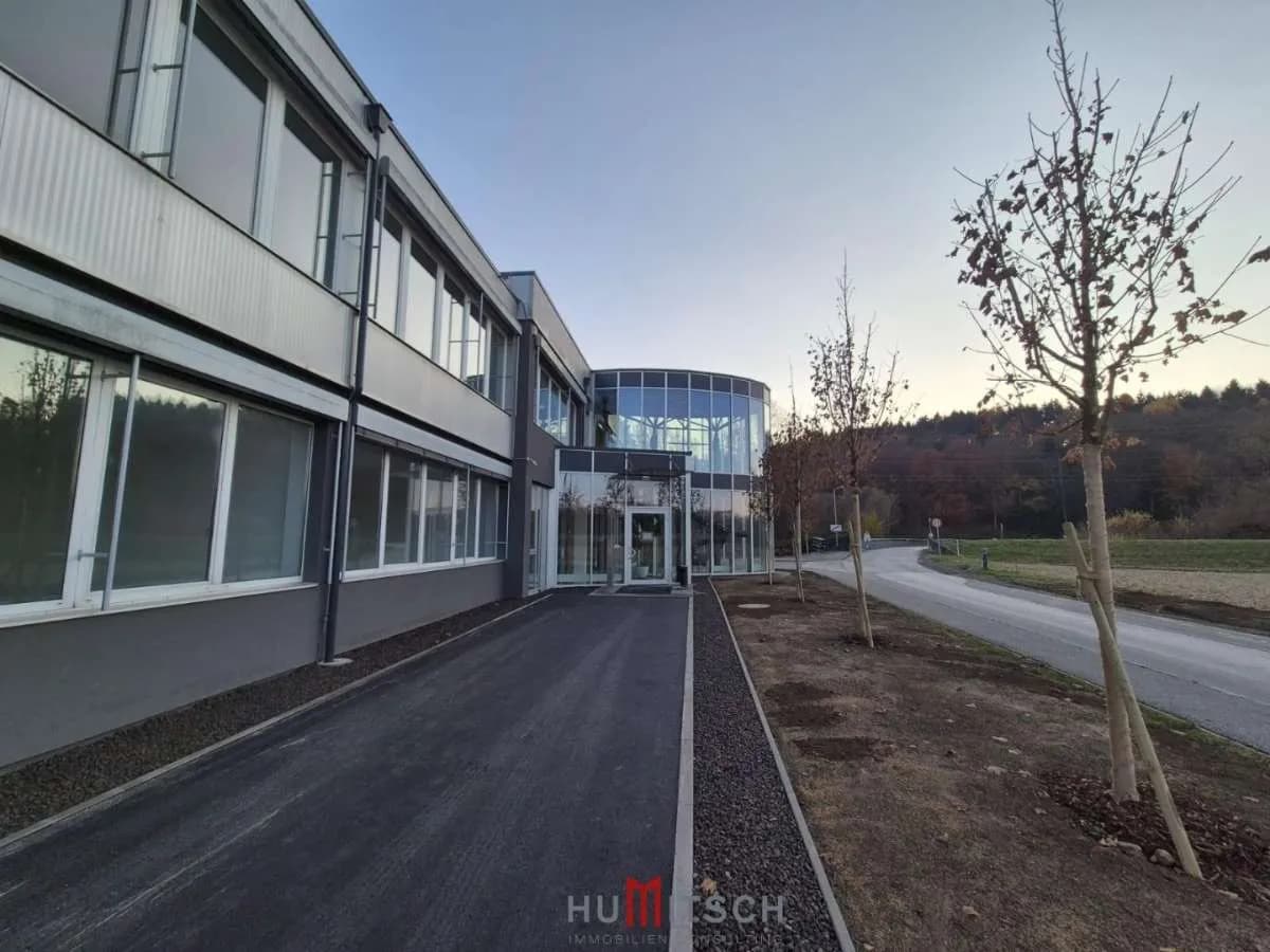 Gewerbeimmobilie mieten in Weiz – 891 m² – Bild 3 von 56
