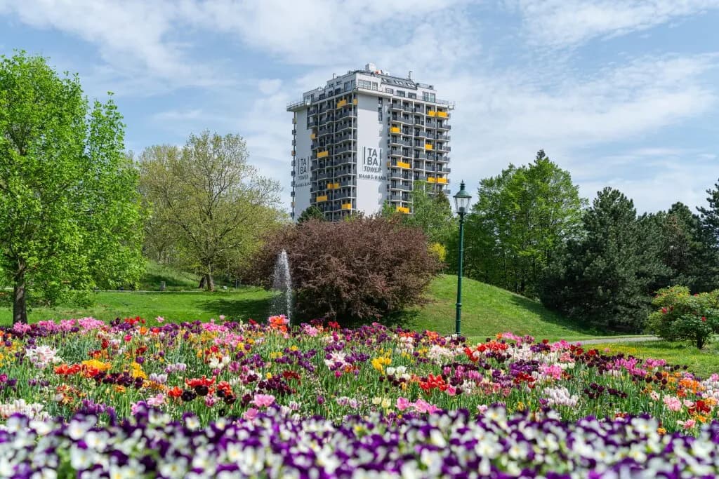 2-Zimmer-Wohnung mieten in Wien – 48,25 m², € 1.159 – Bild 14 von 15
