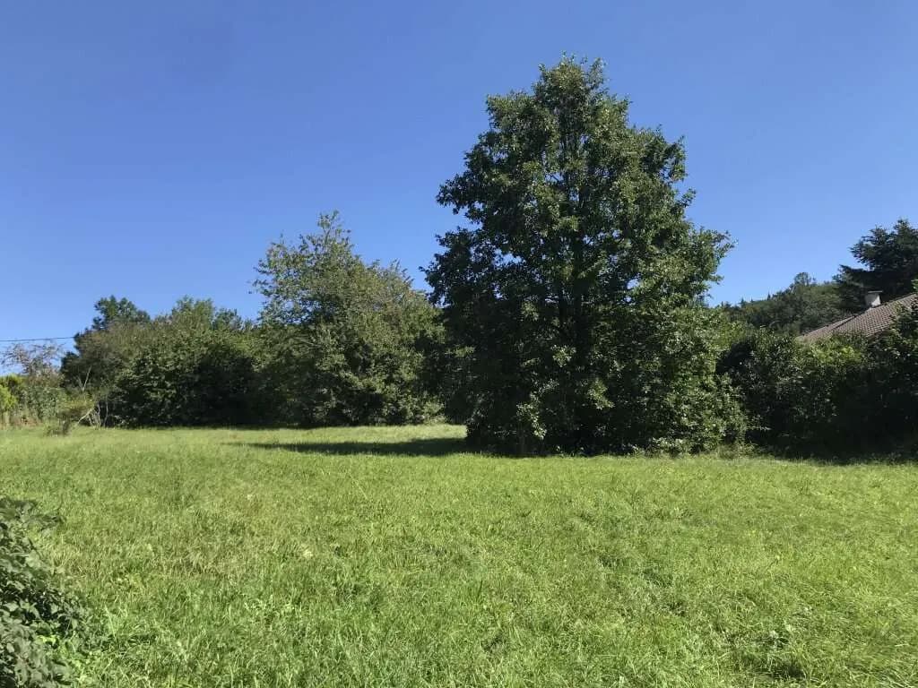 Grundstück kaufen in Mödling – 515 m², € 270.000 – Bild 7 von 11