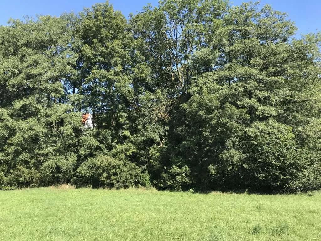 Grundstück kaufen in Mödling – 515 m², € 270.000 – Bild 8 von 11
