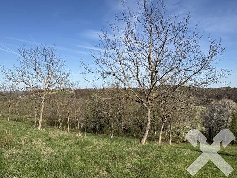 Immobilie kaufen in Jennersdorf – 150 m², € 420.000 – Bild 11 von 16