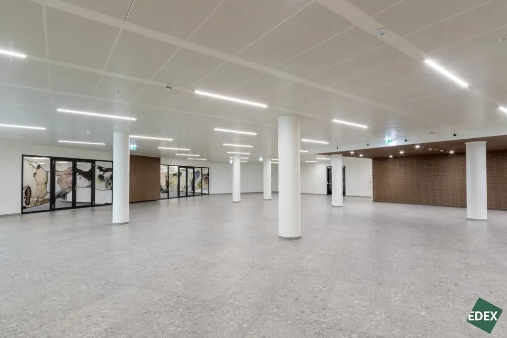 Gewerbeimmobilie mieten in Wien – 1 700 m², € 22 – Bild 3 von 14