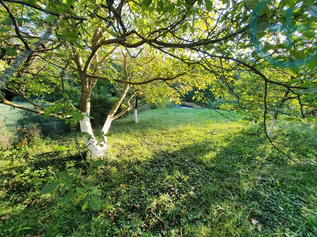 Grundstück kaufen in Wien – 2 474 m², € 849.000 – Bild 6 von 8