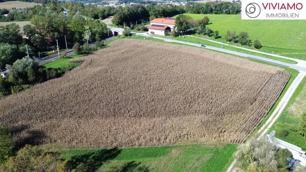 Immobilie kaufen in Wels-Land – 24 000 m², € 3.600.000 – Bild 7 von 7
