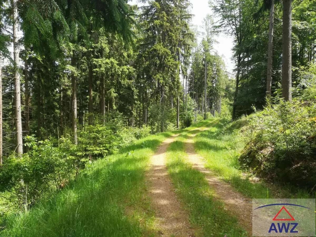 12-Zimmer-Grundstück kaufen in Perg – 250 m² – Bild 2 von 6