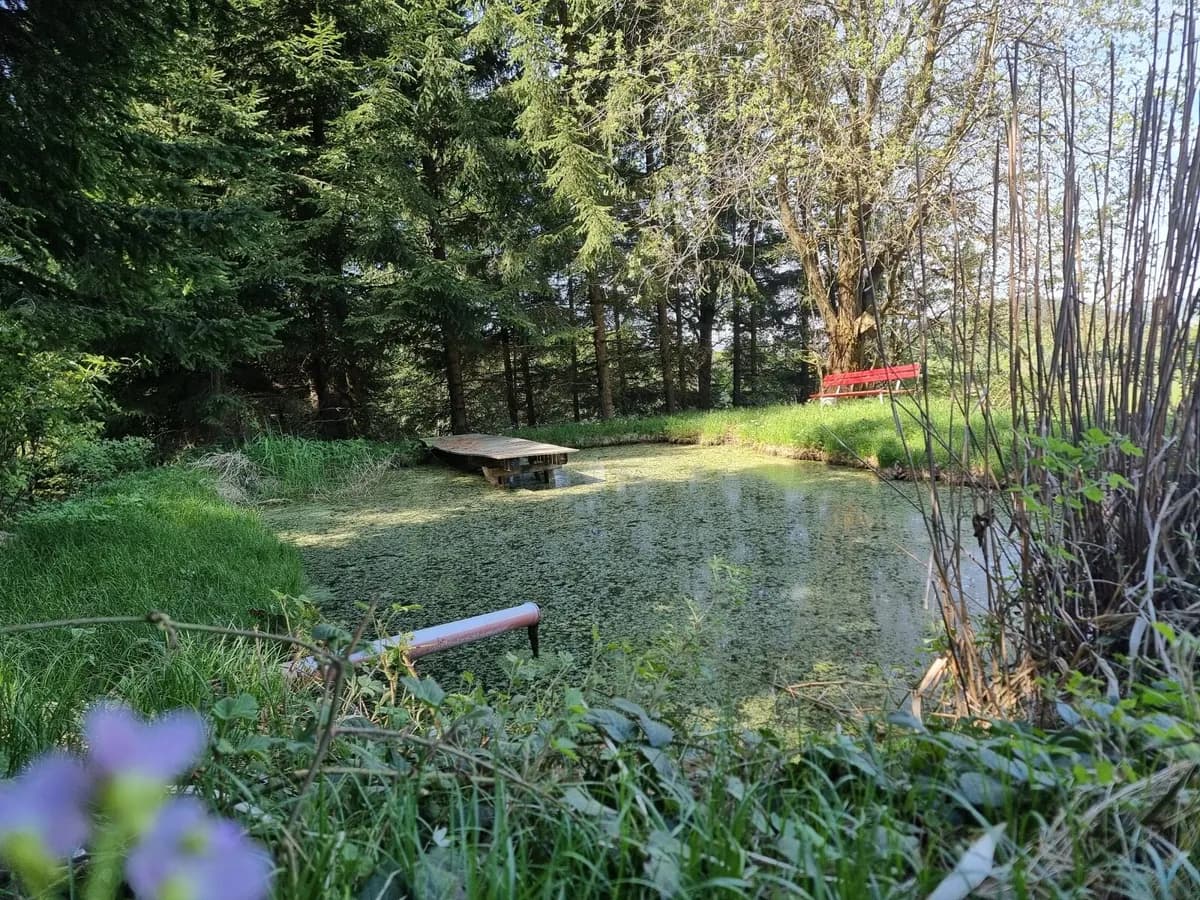 8-Zimmer-Haus kaufen in Rohrbach – 254 m², € 599.000 – Bild 14 von 15