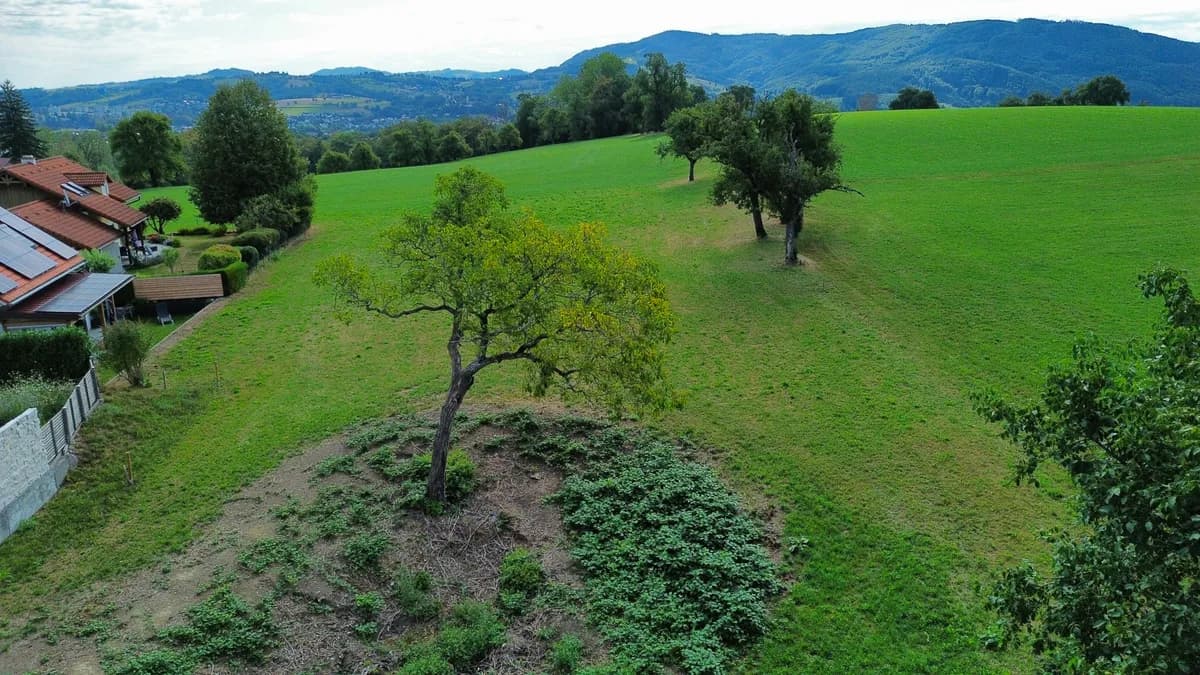 Grundstück kaufen in Steyr-Land – 1 062 m², € 330.000 – Bild 4 von 12