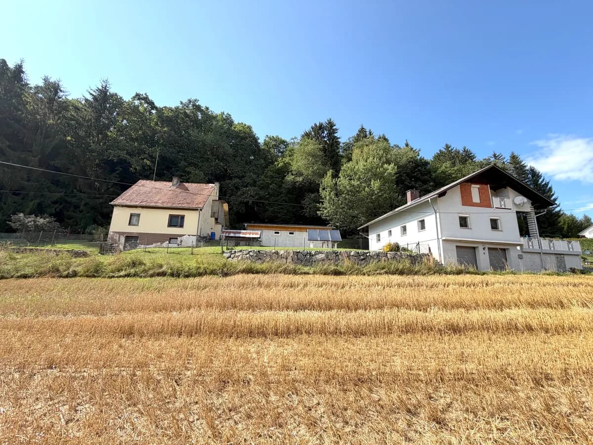 8-Zimmer-Gewerbeimmobilie kaufen in Südoststeiermark – 203 m², € 349.000