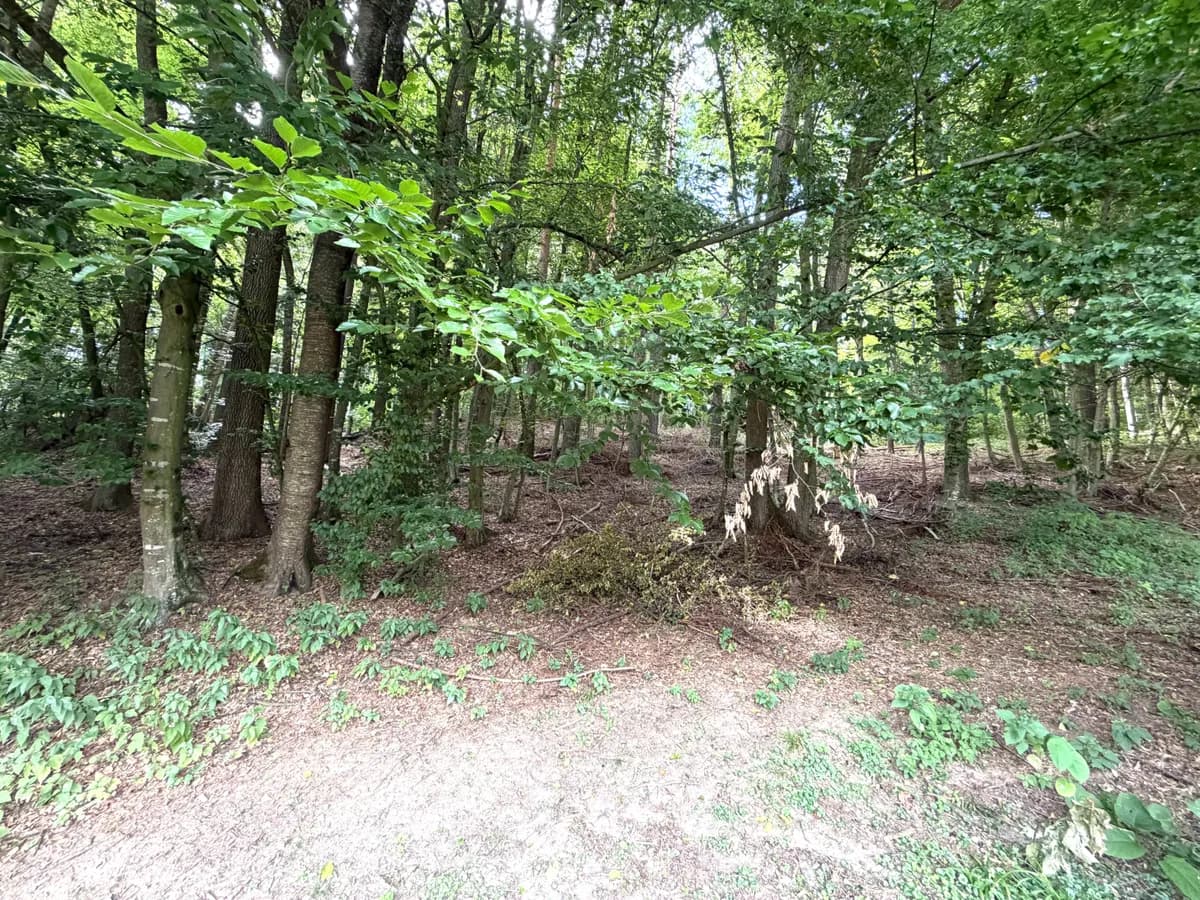 8-Zimmer-Gewerbeimmobilie kaufen in Südoststeiermark – 203 m², € 349.000 – Bild 42 von 44