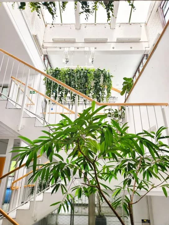 Gewerbeimmobilie mieten in Wien – 100 m², € 2.000 – Bild 4 von 26