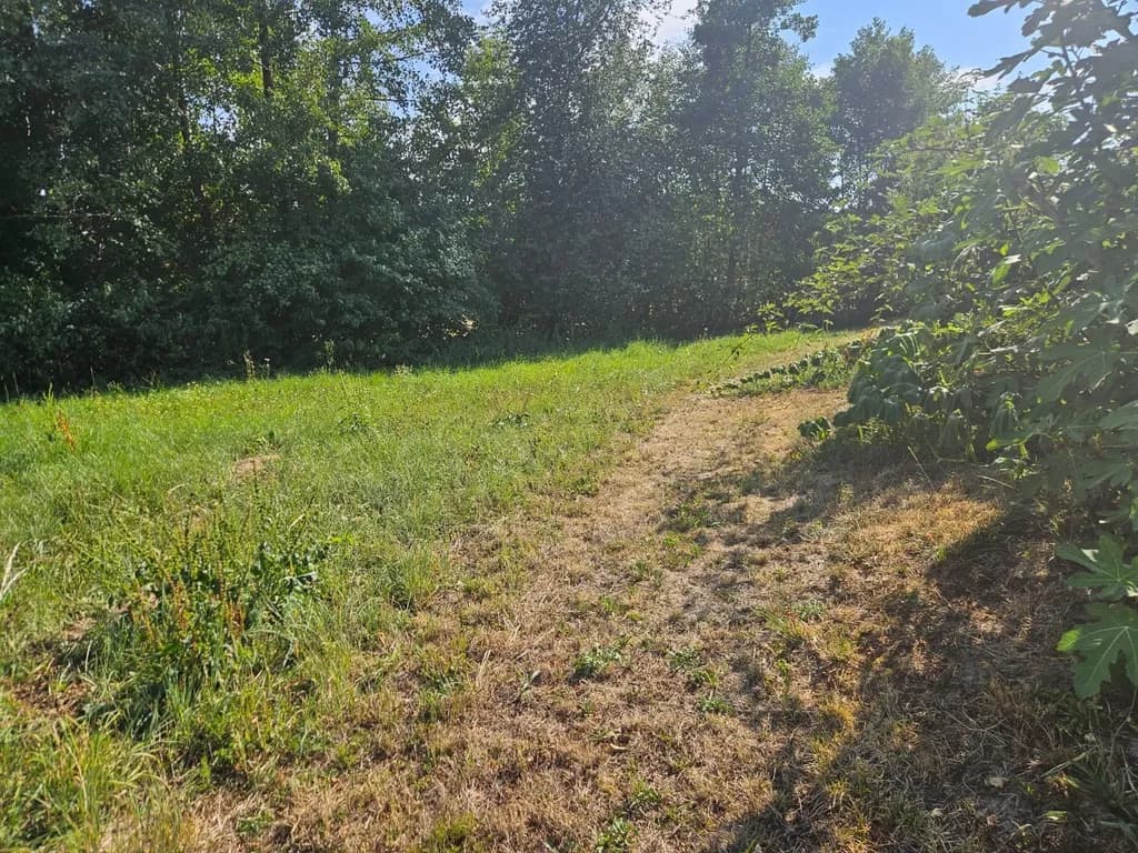 Grundstück kaufen in Grieskirchen – 920 m², € 320.000 – Bild 6 von 8