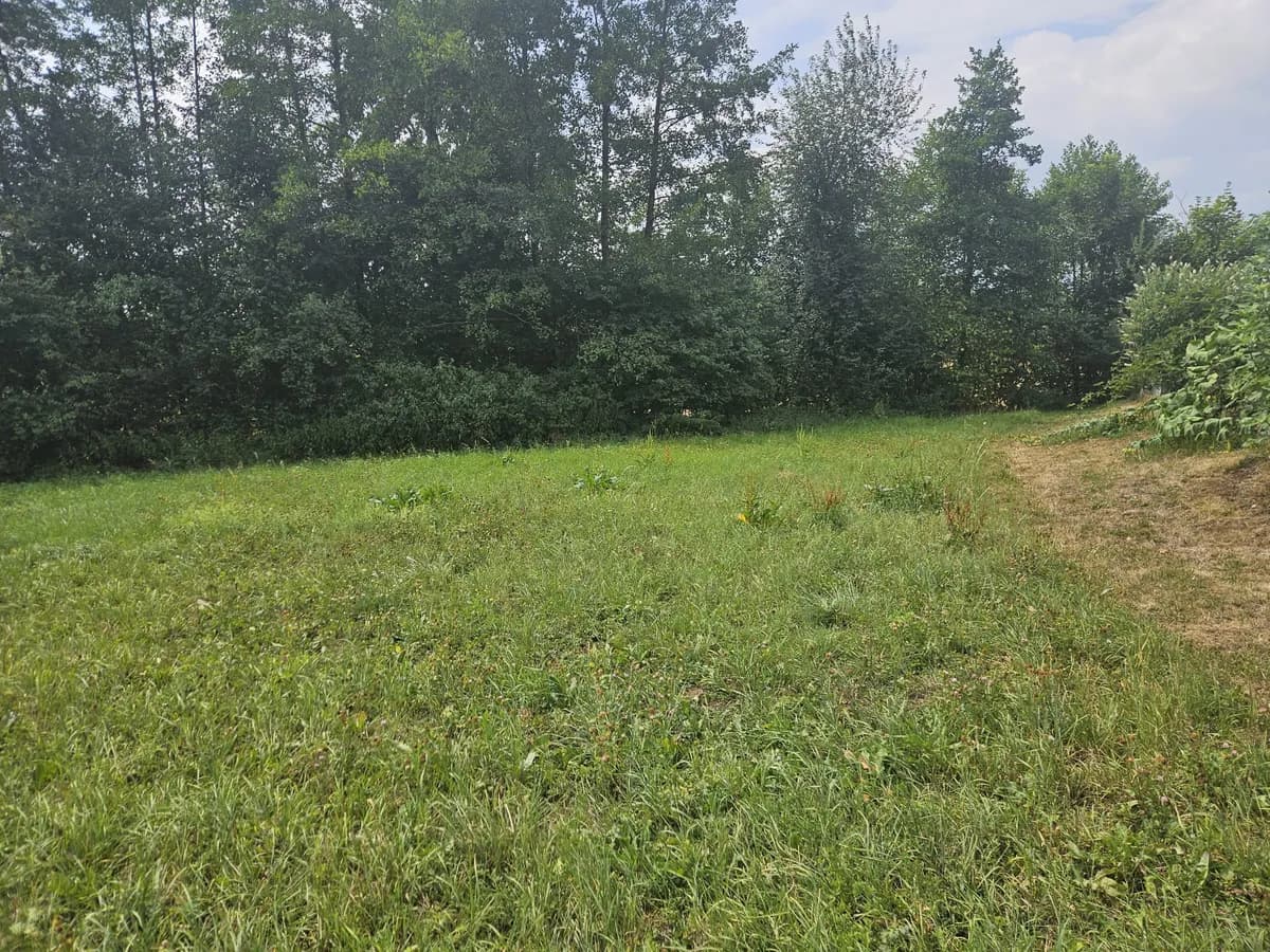Grundstück kaufen in Grieskirchen – 920 m², € 320.000 – Bild 7 von 8