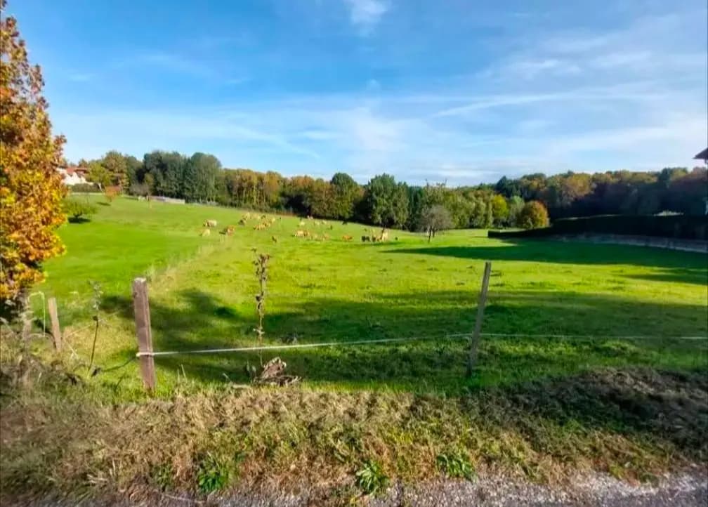 Grundstück kaufen in Güssing – 6 455 m², € 60.000