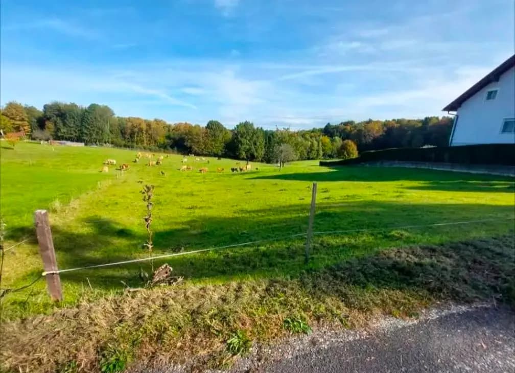 Grundstück kaufen in Güssing – 6 455 m², € 60.000 – Bild 2 von 6
