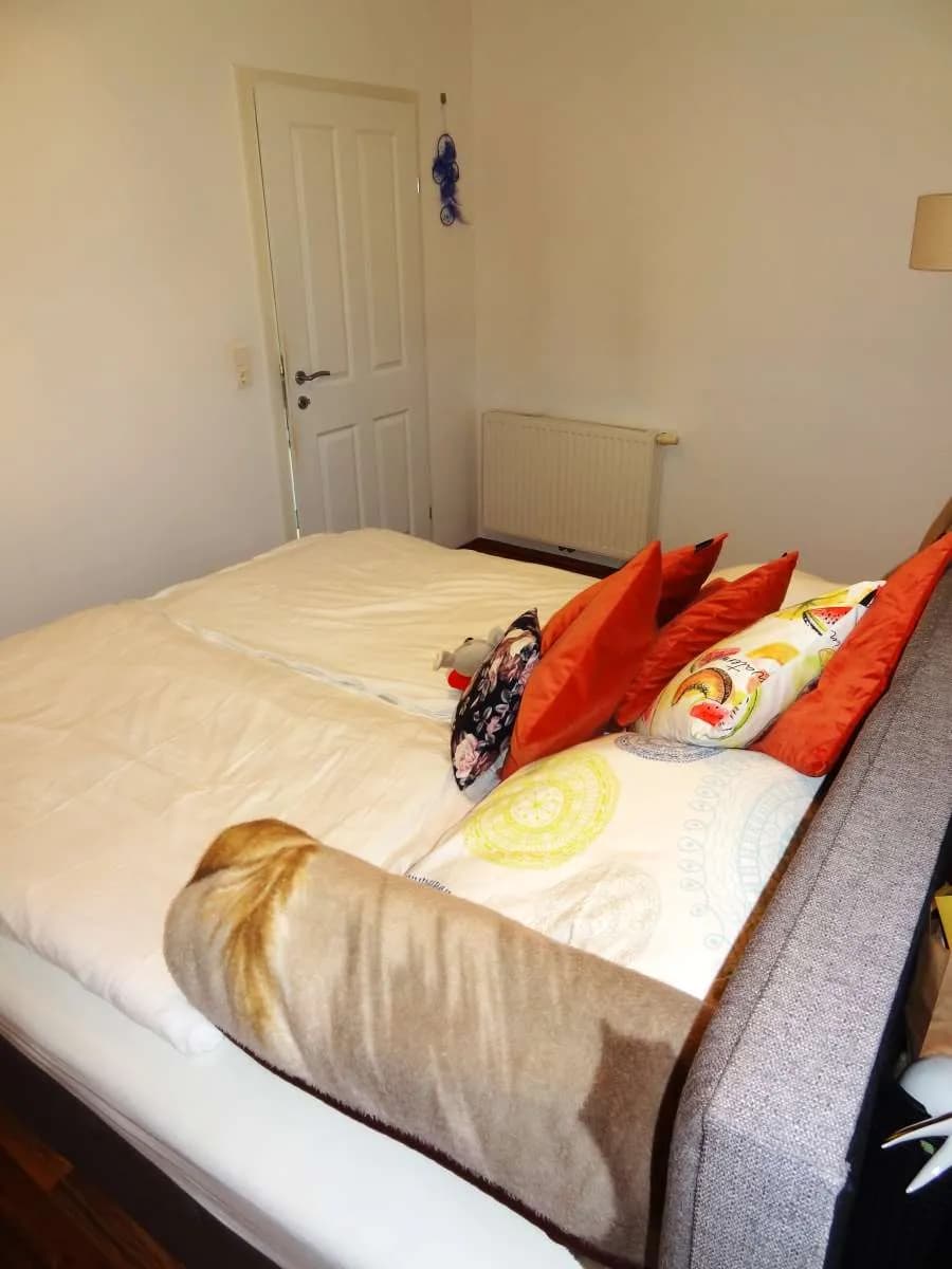 2-Zimmer-Wohnung mieten in Südoststeiermark – 64,27 m², € 790 – Bild 25 von 78