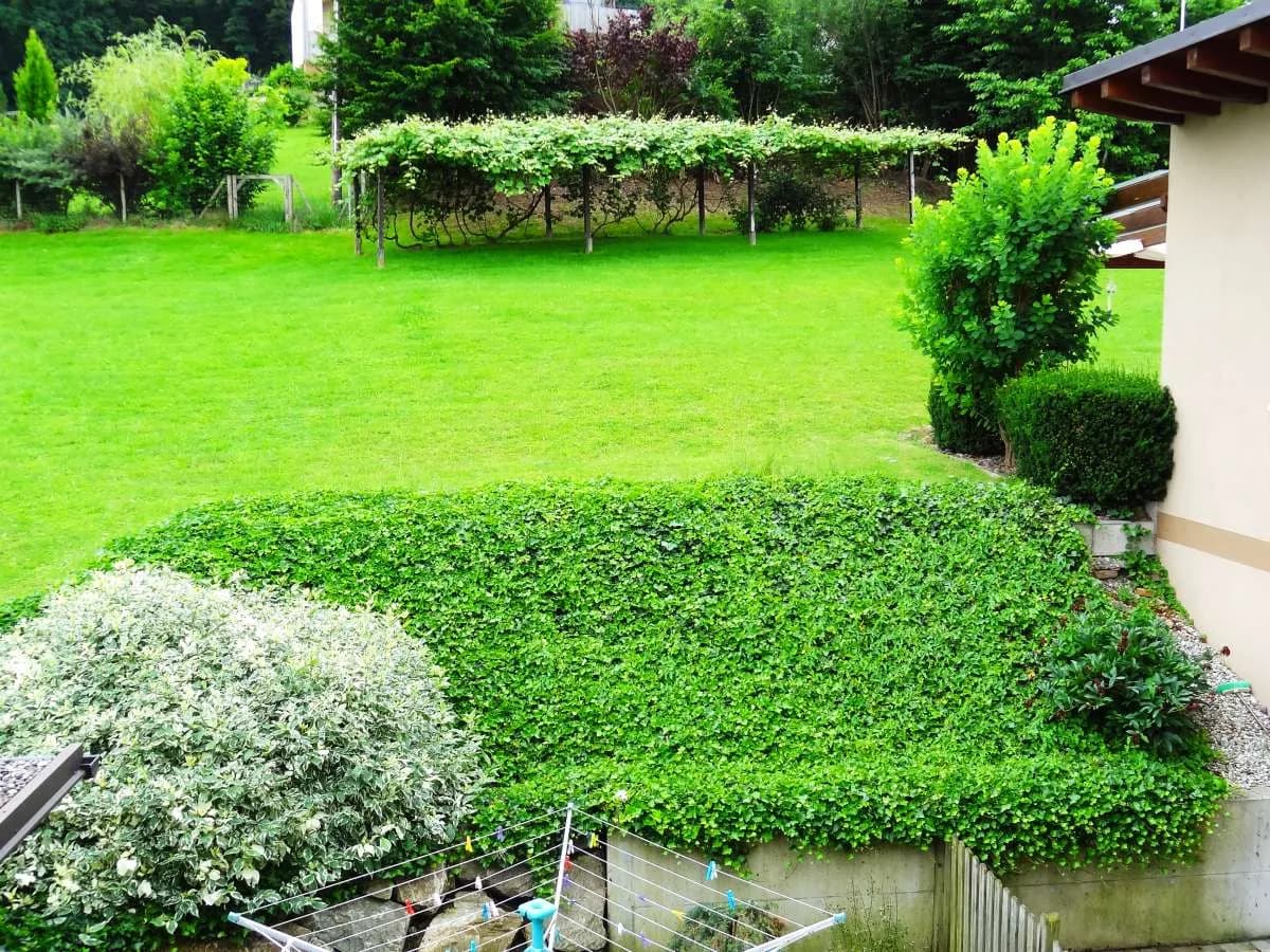 2-Zimmer-Wohnung mieten in Südoststeiermark – 64,27 m², € 790 – Bild 53 von 78