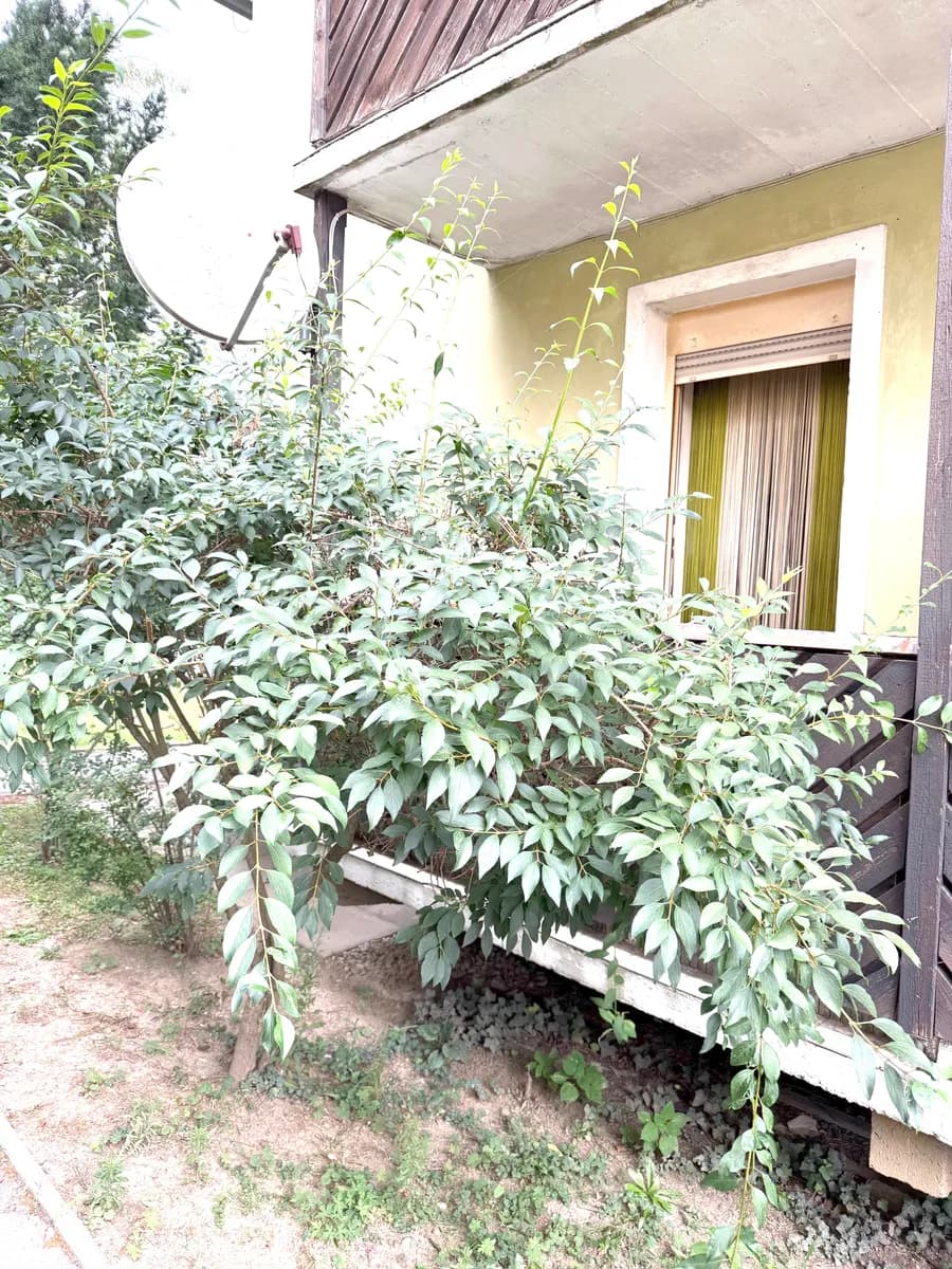 1-Zimmer-Wohnung kaufen in Graz – 31 m², € 83.000 – Bild 12 von 14