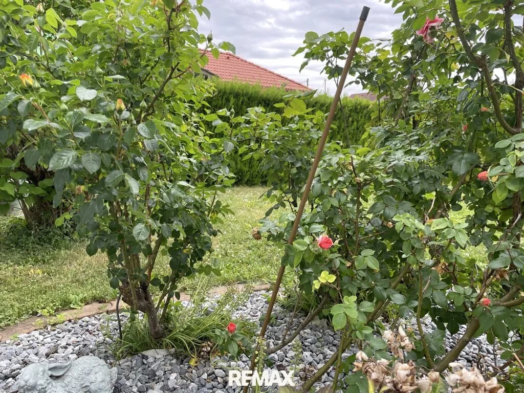 Haus kaufen in Baden – 588 m², € 238.000 – Bild 4 von 18