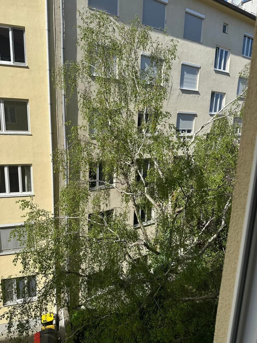 1-Zimmer-Wohnung kaufen in Baden – 28 m², € 129.000 – Bild 3 von 8