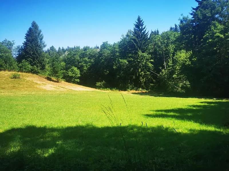 Grundstück kaufen in Klagenfurt Land – 6 136 m², € 245.000 – Bild 3 von 4
