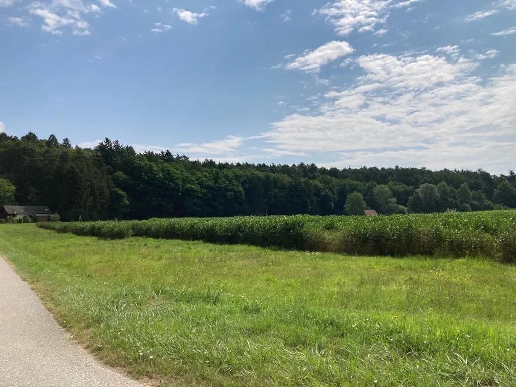 Grundstück kaufen in Hartberg-Fürstenfeld – 1 952 m², € 146.400
