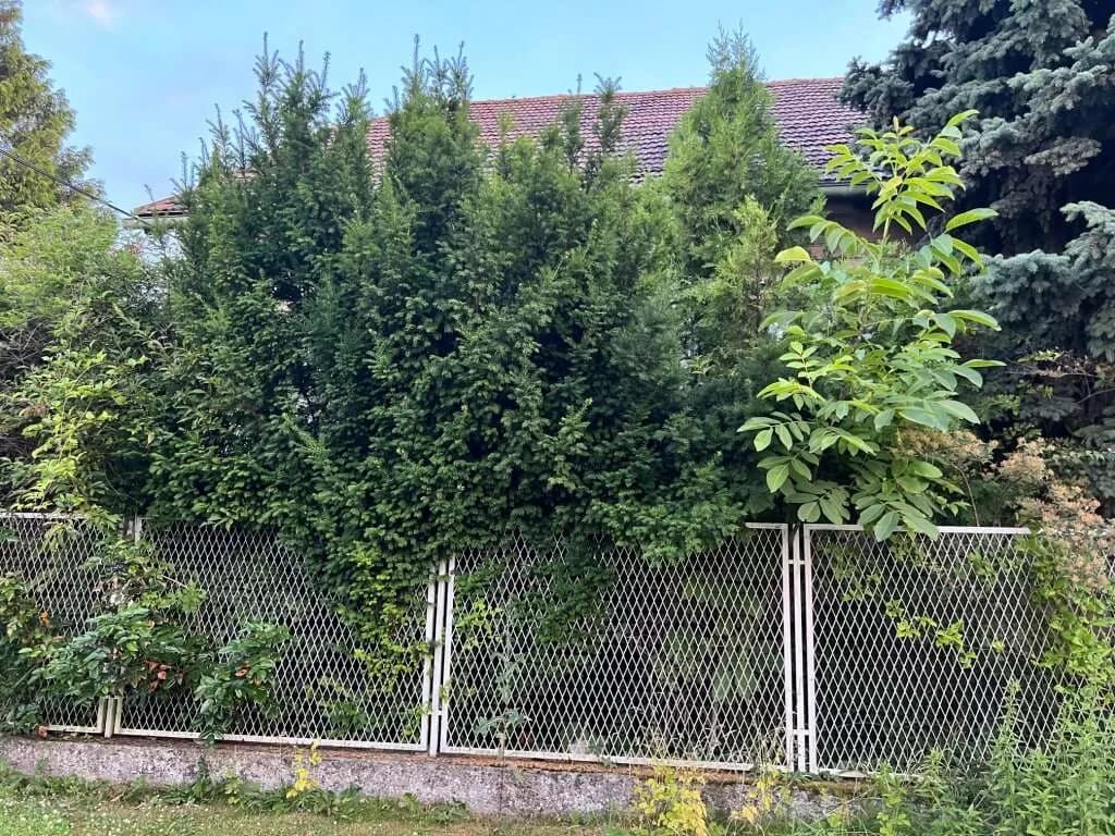 Grundstück kaufen in Wien – € 2.100.000