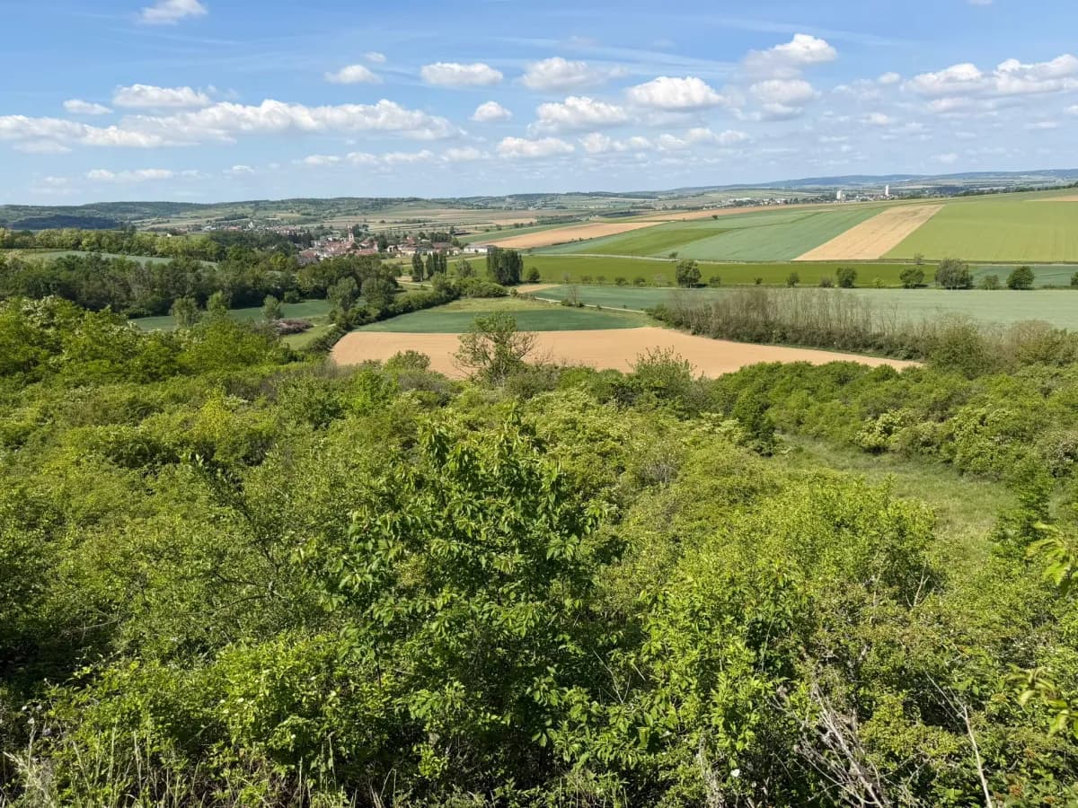 Grundstück kaufen in Hollabrunn – 10 513 m², € 21.900 – Bild 3 von 6