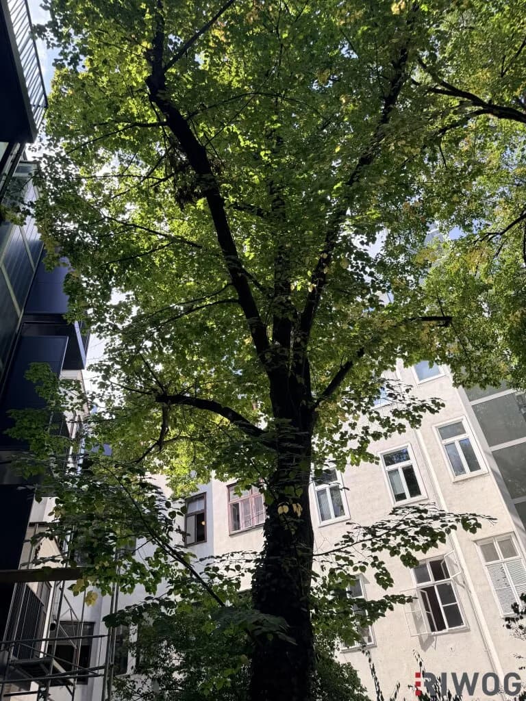 Grundstück mieten in Wien – € 216 – Bild 4 von 7