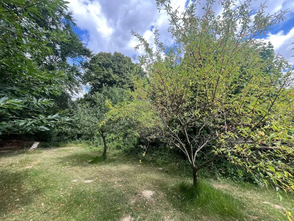 5-Zimmer-Haus kaufen in Neunkirchen – 195,9 m², € 500.000 – Bild 19 von 32