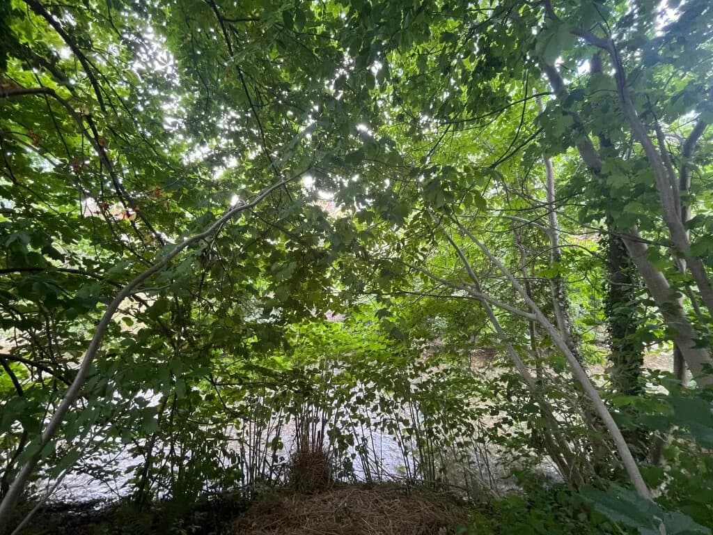 5-Zimmer-Haus kaufen in Neunkirchen – 195,9 m², € 500.000 – Bild 24 von 32