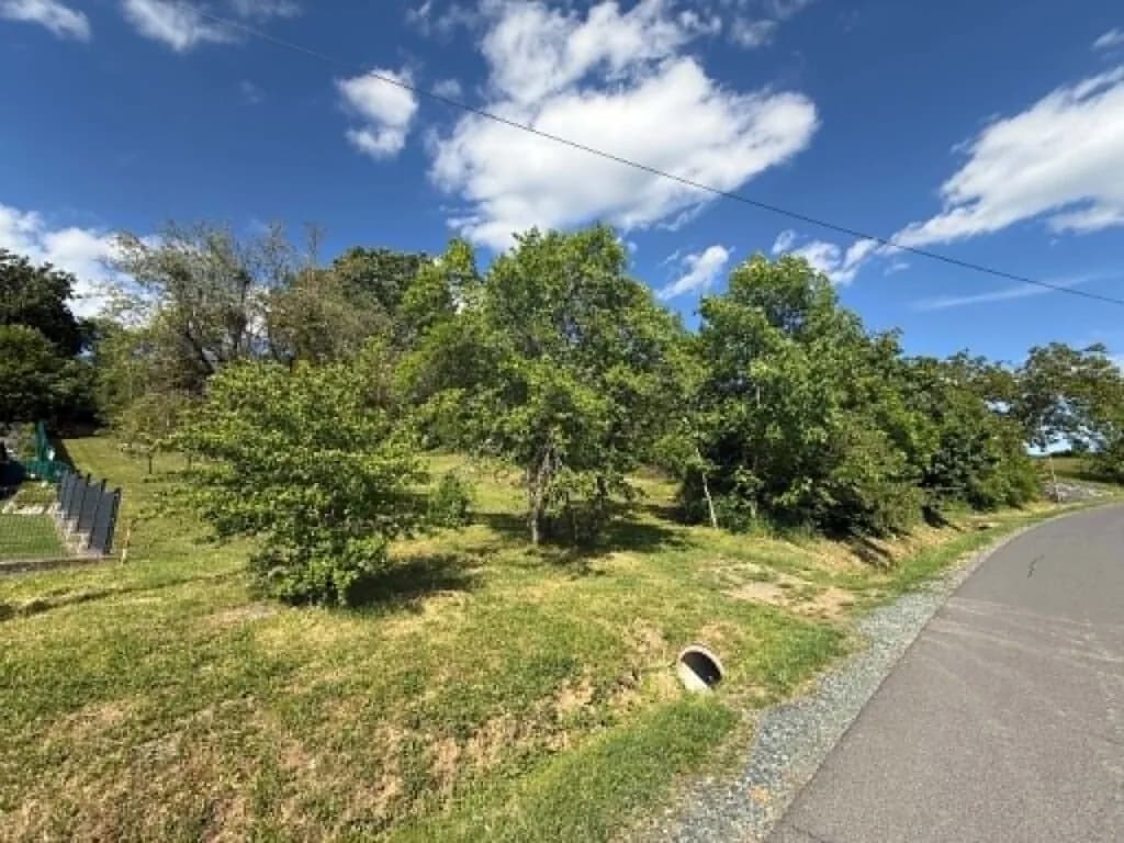 Grundstück kaufen in Oberwart – 2 283 m², € 59.000 – Bild 6 von 9