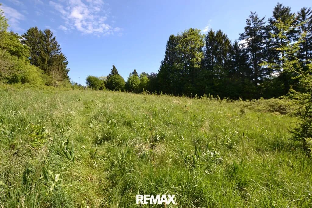 Grundstück kaufen in Sankt Pölten Land – 6 630 m², € 1.657.500 – Bild 5 von 15
