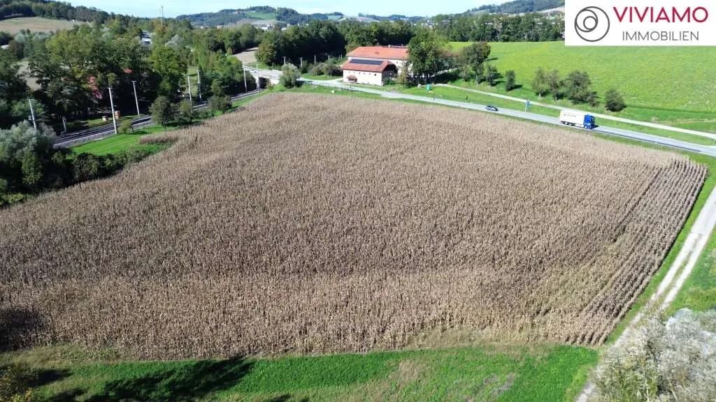 Immobilie kaufen in Grieskirchen – 12 000 m², € 1.800.000 – Bild 6 von 7
