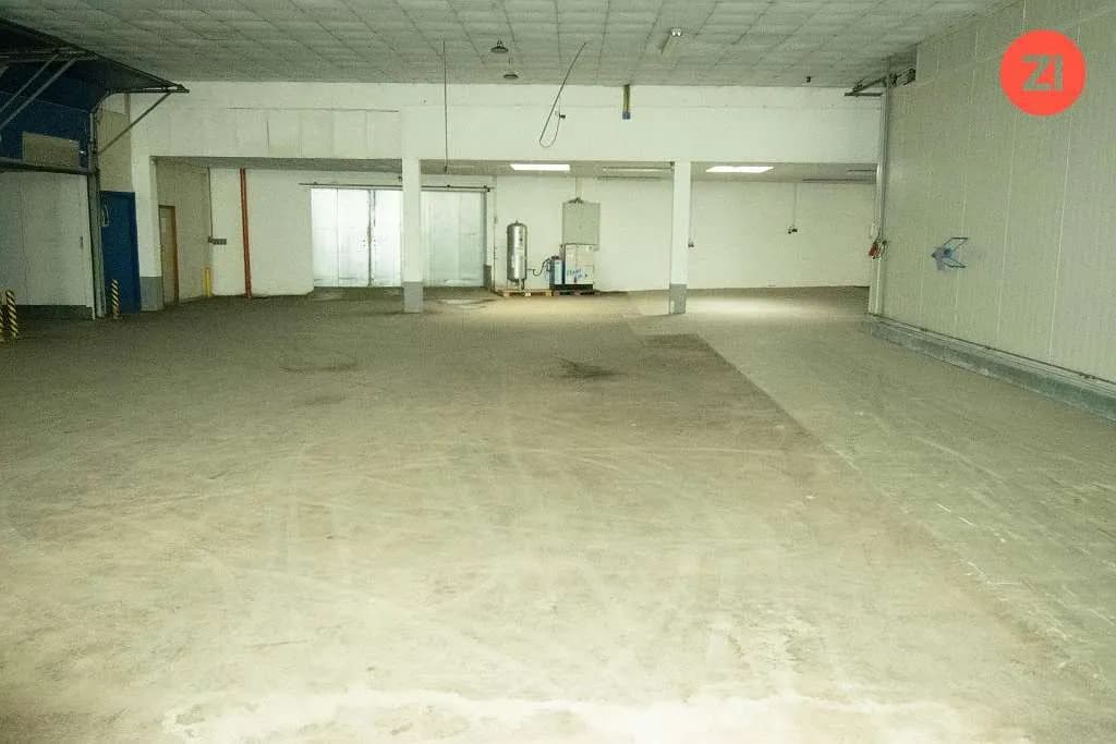 Gewerbeimmobilie mieten in Eferding – 45 m², € 248 – Bild 4 von 7