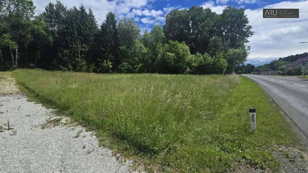 Grundstück kaufen in Hartberg-Fürstenfeld – 1 375 m², € 75.000 – Bild 4 von 7
