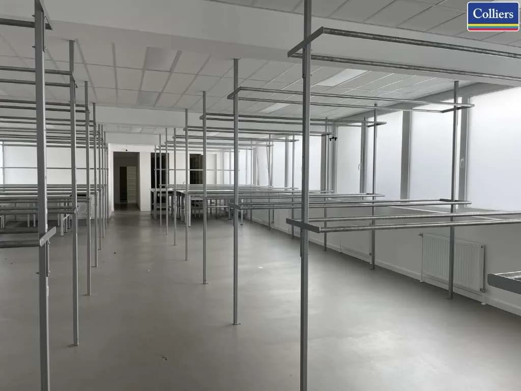 Gewerbeimmobilie mieten in Wien – 298 m², € 3.202 – Bild 3 von 5