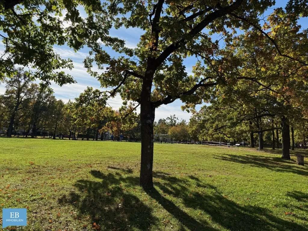 Grundstück kaufen in Wien – 484 m², € 765.000 – Bild 3 von 16