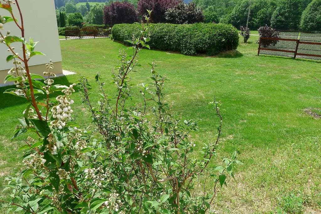 3-Zimmer-Haus mieten in Neunkirchen – 86 m², € 970 – Bild 27 von 31