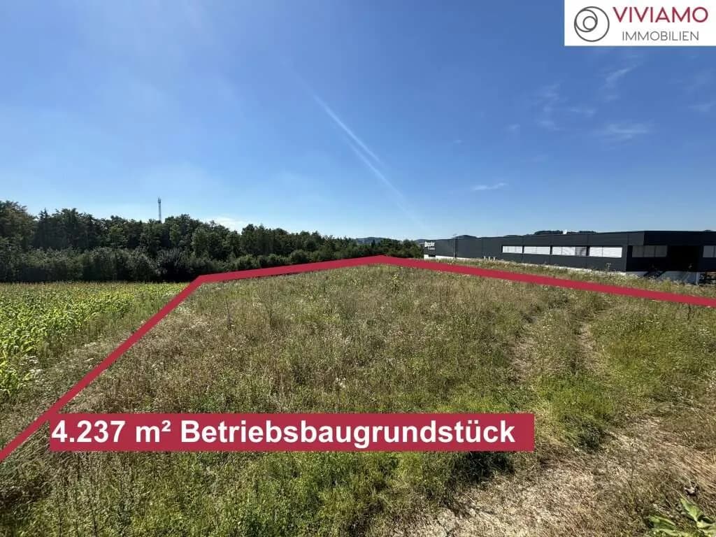 Immobilie kaufen in Wels-Land – 4 237 m², € 160 – Bild 2 von 6